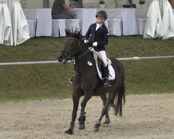Reitturnier Fröhnerhof 2017