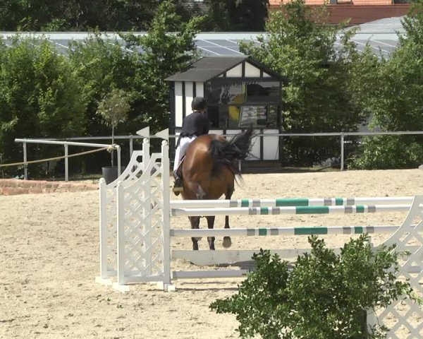 Reitturnier Fröhnerhof 2017
