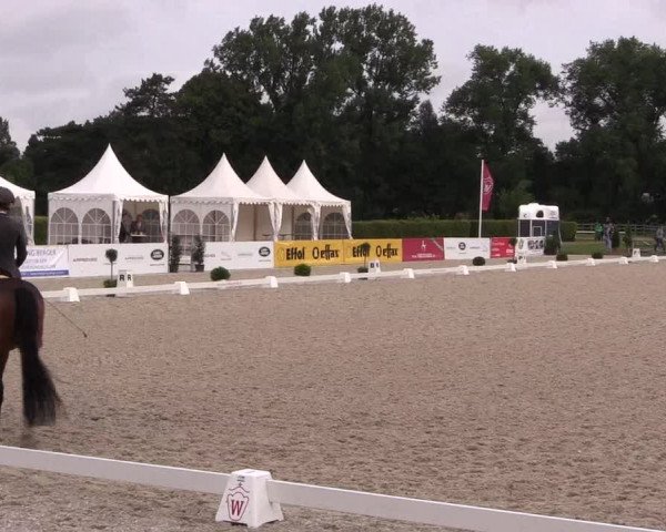 Reitturnier Münster-Handorf 2017