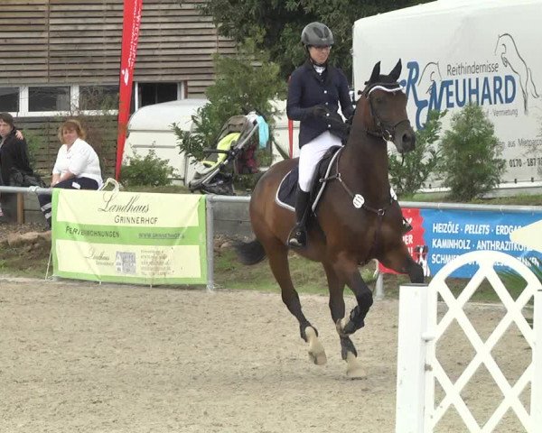 Reitturnier Fröhnerhof 2017