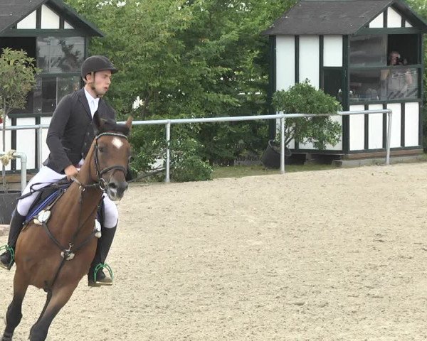 Reitturnier Fröhnerhof 2017