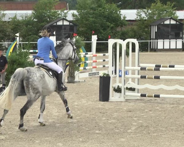Reitturnier Fröhnerhof 2017
