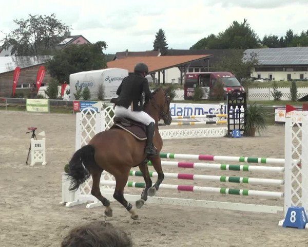 Reitturnier Fröhnerhof 2017