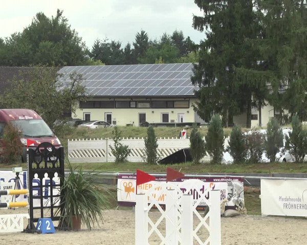 Reitturnier Fröhnerhof 2017