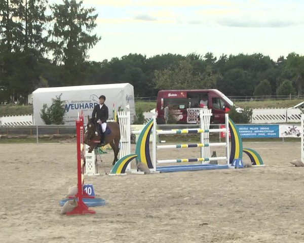 Reitturnier Fröhnerhof 2017