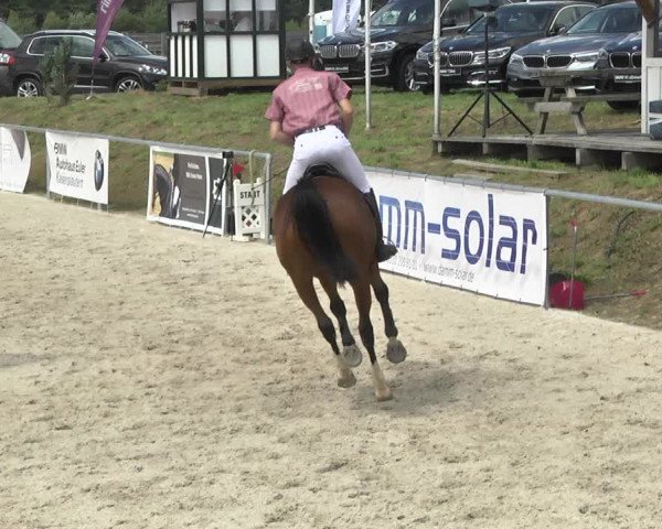 Reitturnier Fröhnerhof 2017