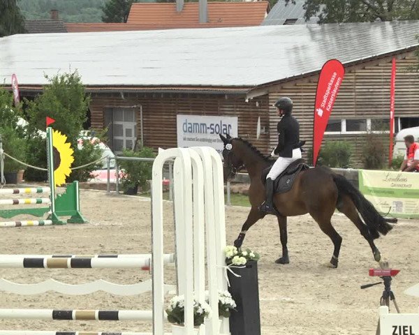 Reitturnier Fröhnerhof 2017