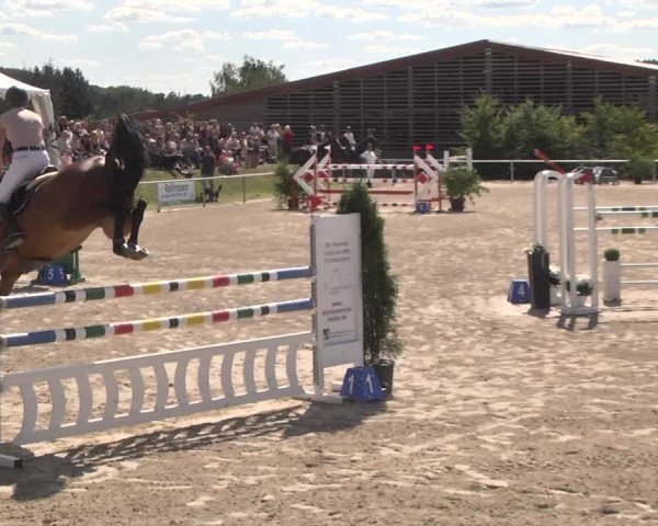 Reitturnier Fröhnerhof 2017
