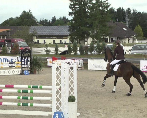 Reitturnier Fröhnerhof 2017