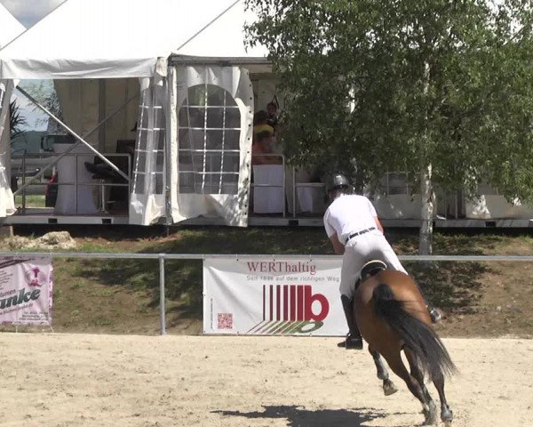 Reitturnier Fröhnerhof 2017