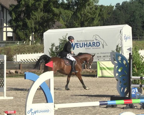 Reitturnier Fröhnerhof 2017