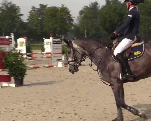 Reitturnier Olfen-Vinnum 2017