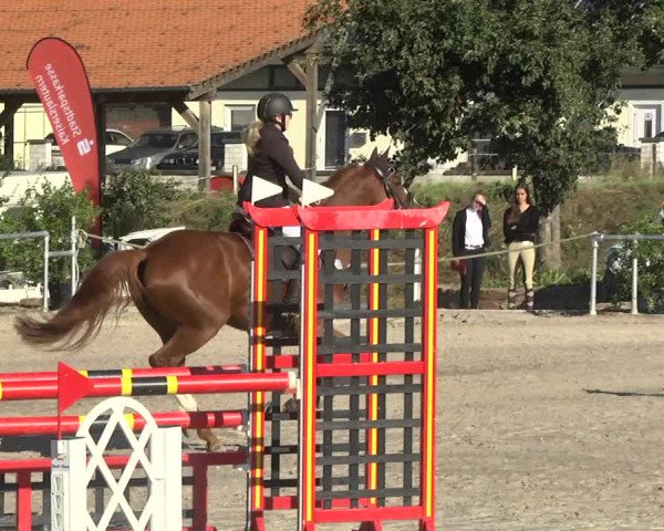 Reitturnier Fröhnerhof 2017