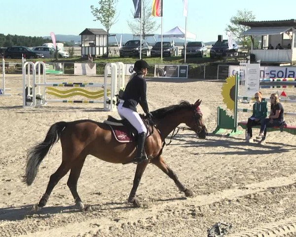 Reitturnier Fröhnerhof 2017