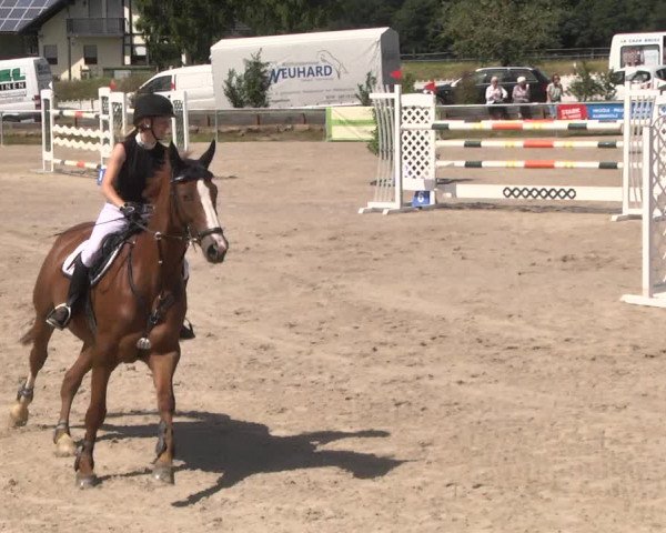 Reitturnier Fröhnerhof 2017