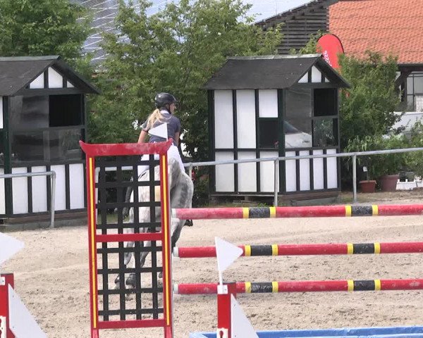 Reitturnier Fröhnerhof 2017