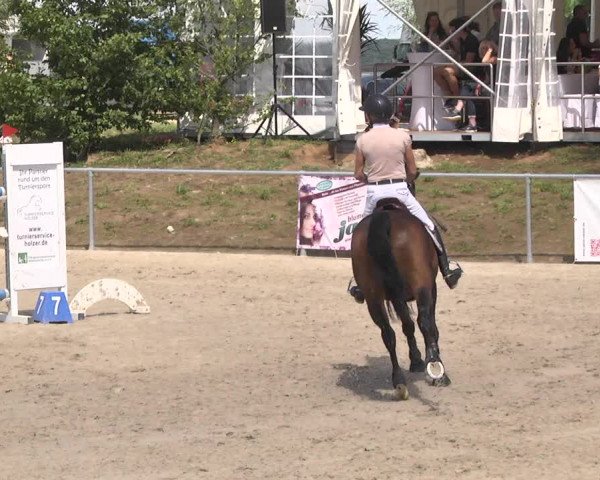 Reitturnier Fröhnerhof 2017