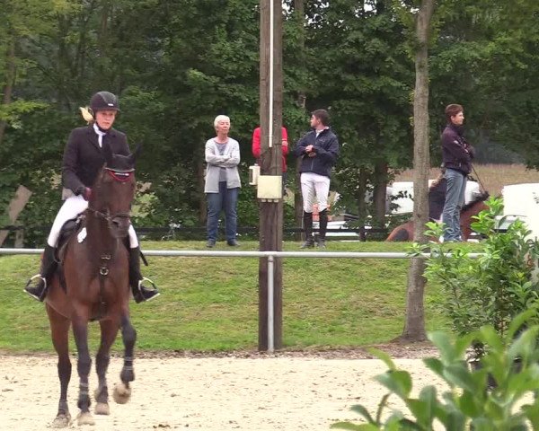 Reitturnier Olfen-Vinnum 2017