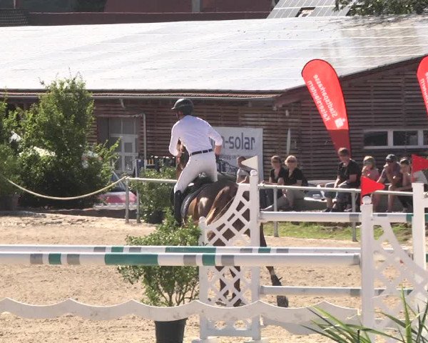 Reitturnier Fröhnerhof 2017