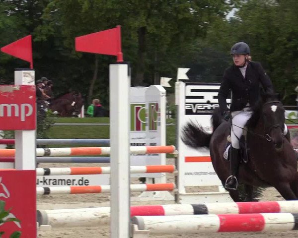 Reitturnier Olfen-Vinnum 2017