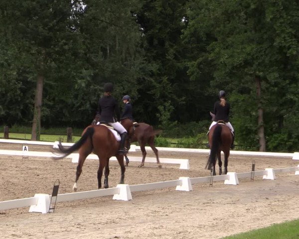 Reitturnier Olfen-Vinnum 2017