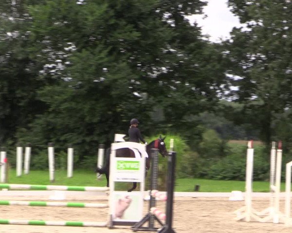 Reitturnier Olfen-Vinnum 2017
