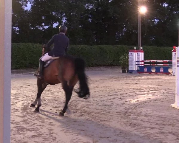Reitturnier Olfen-Vinnum 2017