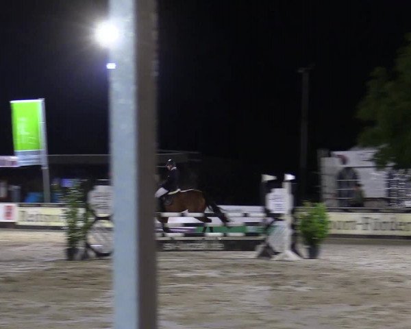 Reitturnier Olfen-Vinnum 2017