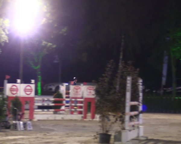 Reitturnier Olfen-Vinnum 2017