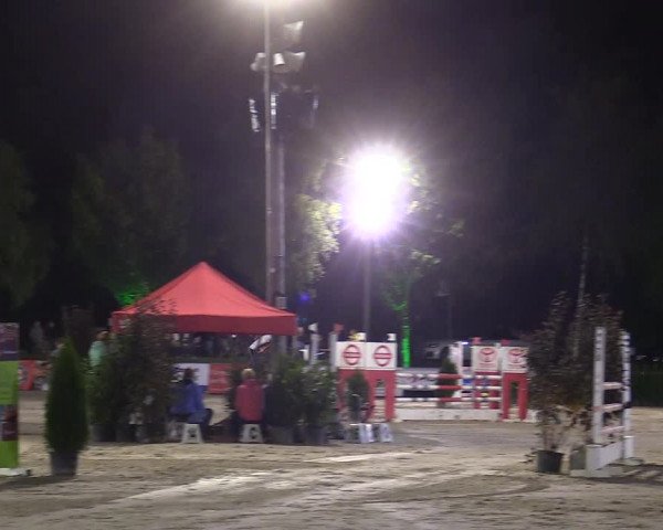 Reitturnier Olfen-Vinnum 2017