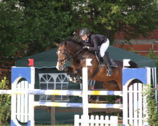 broodmare Laluna - P (Oldenburg, 2003, from Ludwig von Bayern 168 FIN)