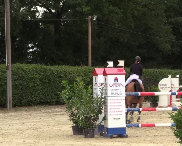 Reitturnier Olfen-Vinnum 2017