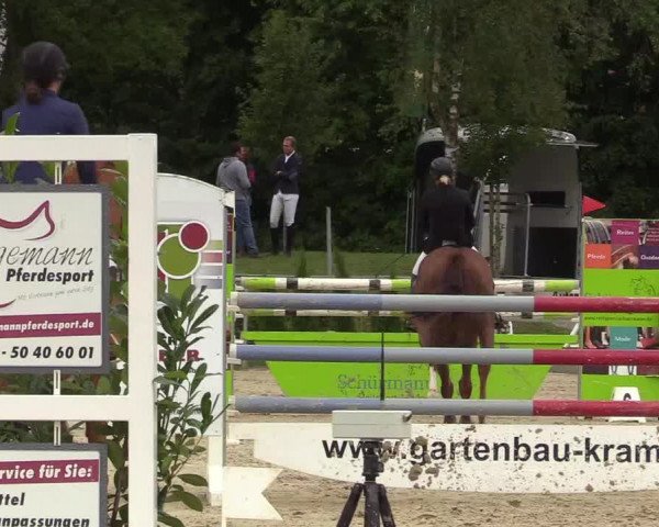 Reitturnier Olfen-Vinnum 2017