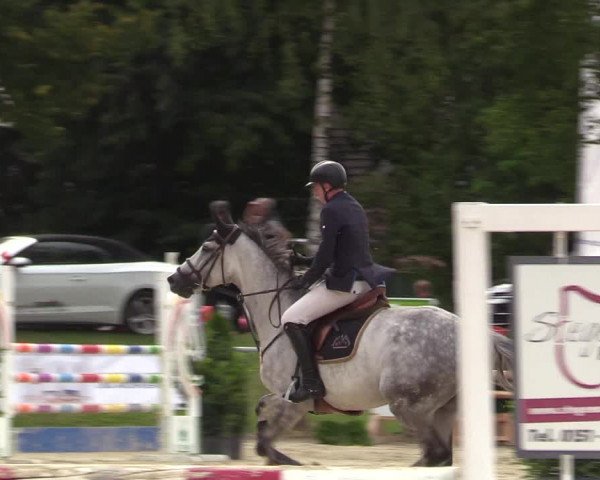 Reitturnier Olfen-Vinnum 2017