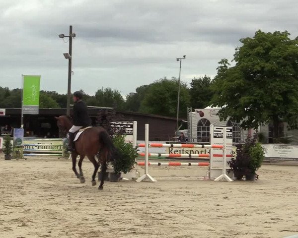 Reitturnier Olfen-Vinnum 2017