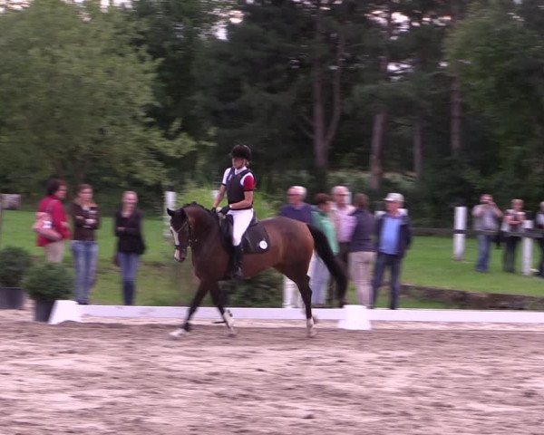 Reitturnier Olfen-Vinnum 2017