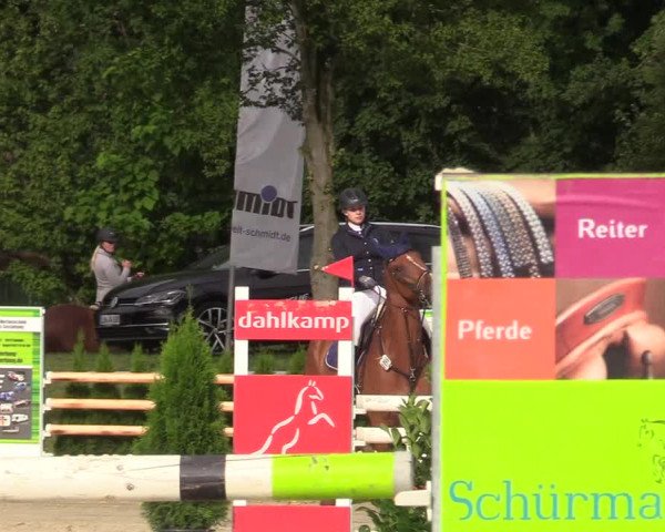 Reitturnier Olfen-Vinnum 2017
