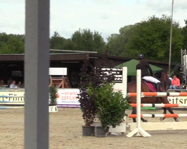 Reitturnier Olfen-Vinnum 2017