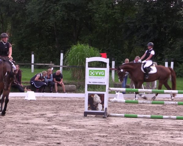 Reitturnier Olfen-Vinnum 2017