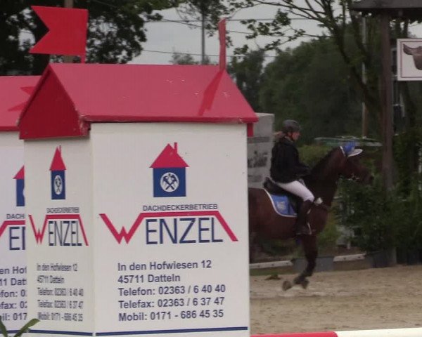 Reitturnier Olfen-Vinnum 2017