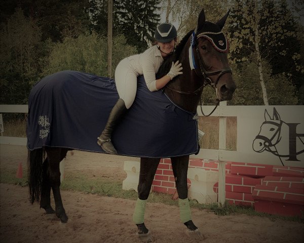 jumper Chipolino 10 (Hanoverian, 2009, from Castus I)