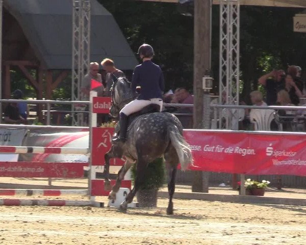 Reitturnier Olfen-Vinnum 2017