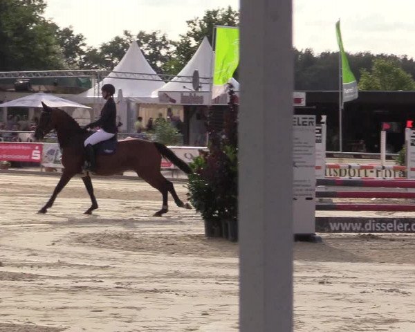 Reitturnier Olfen-Vinnum 2017