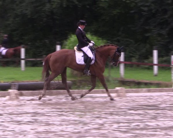 Reitturnier Olfen-Vinnum 2017