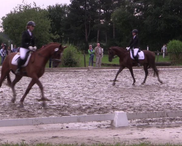 Reitturnier Olfen-Vinnum 2017