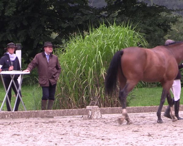 Reitturnier Olfen-Vinnum 2017