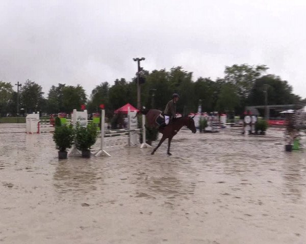 Reitturnier Olfen-Vinnum 2017