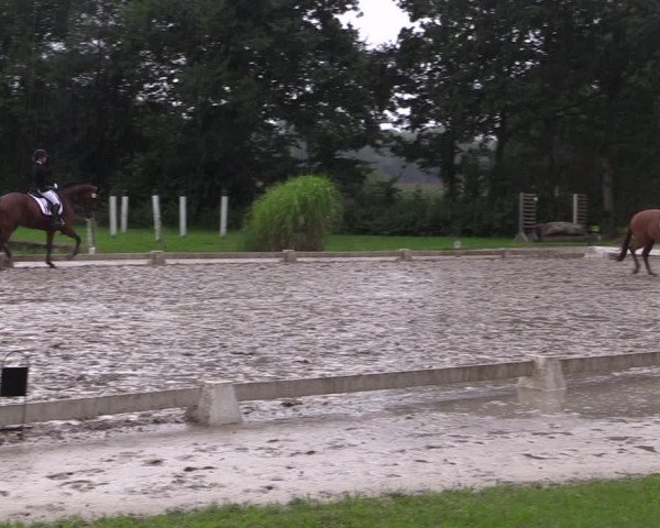 Reitturnier Olfen-Vinnum 2017