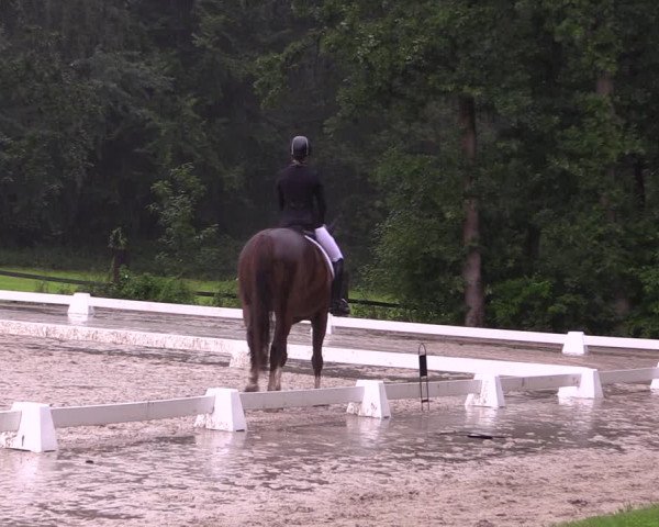 Reitturnier Olfen-Vinnum 2017
