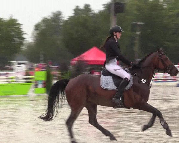 Reitturnier Olfen-Vinnum 2017